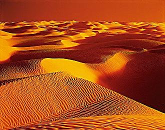 11周年更新后《泰拉瑞亚》有望加入跨平台联机功能