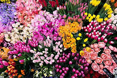 B站高能电玩节7月8日开启  40余款独立新游将首发情报